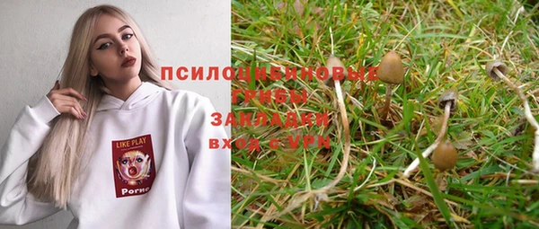 spice Алексин