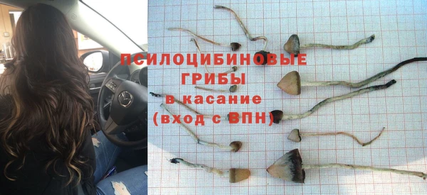 spice Алексин