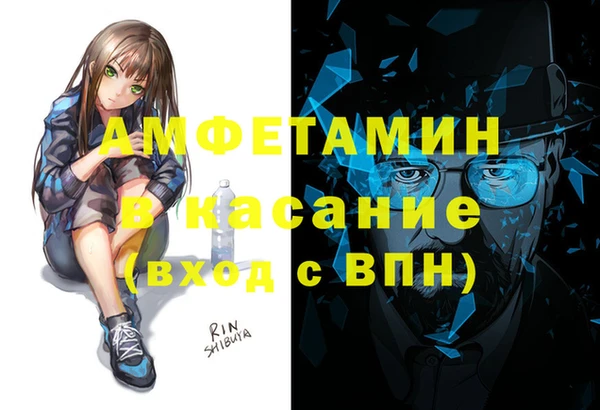 стаф Алзамай