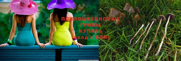 стаф Алзамай
